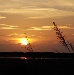 Meet your Posher, Gail